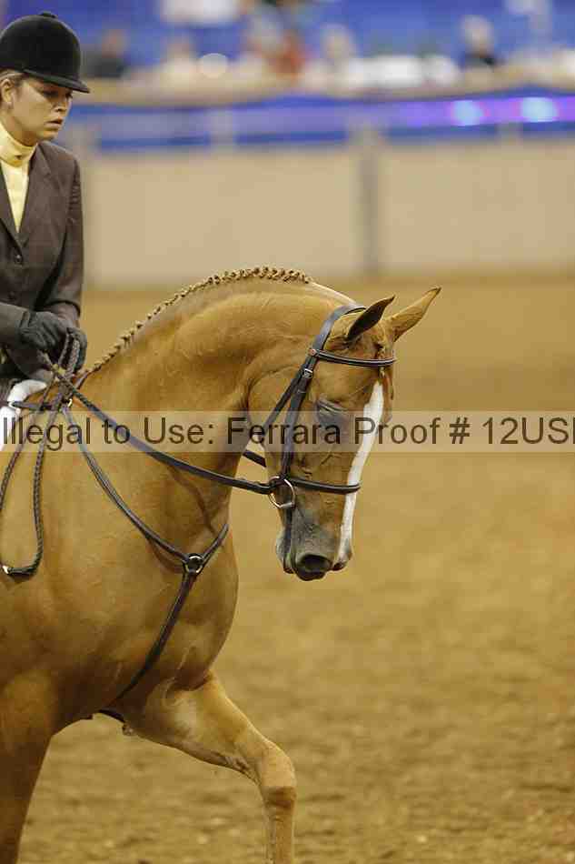 Proof 12usn_14184
