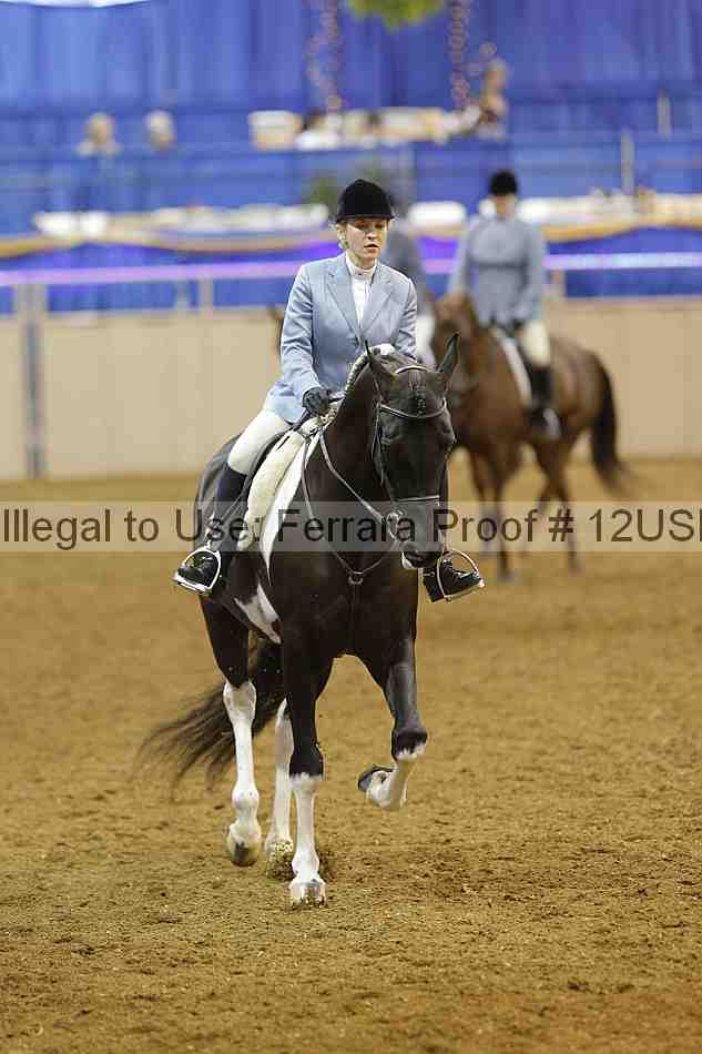 Proof 12usn_14189