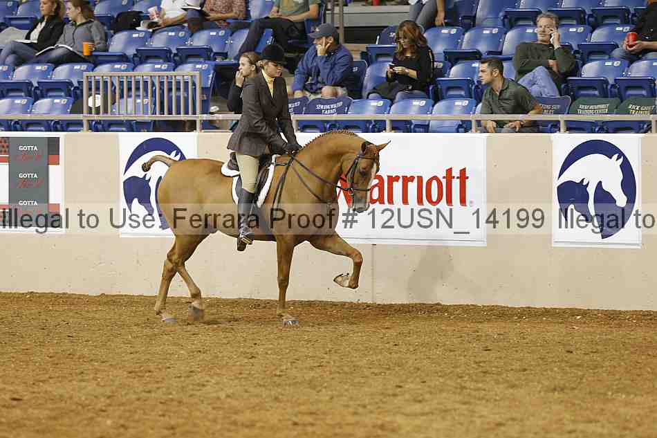 Proof 12usn_14199
