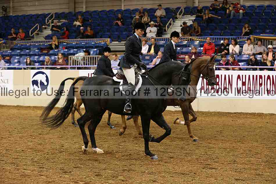 Proof 12usn_14206