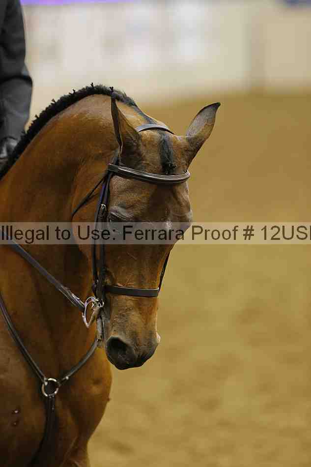 Proof 12usn_14219
