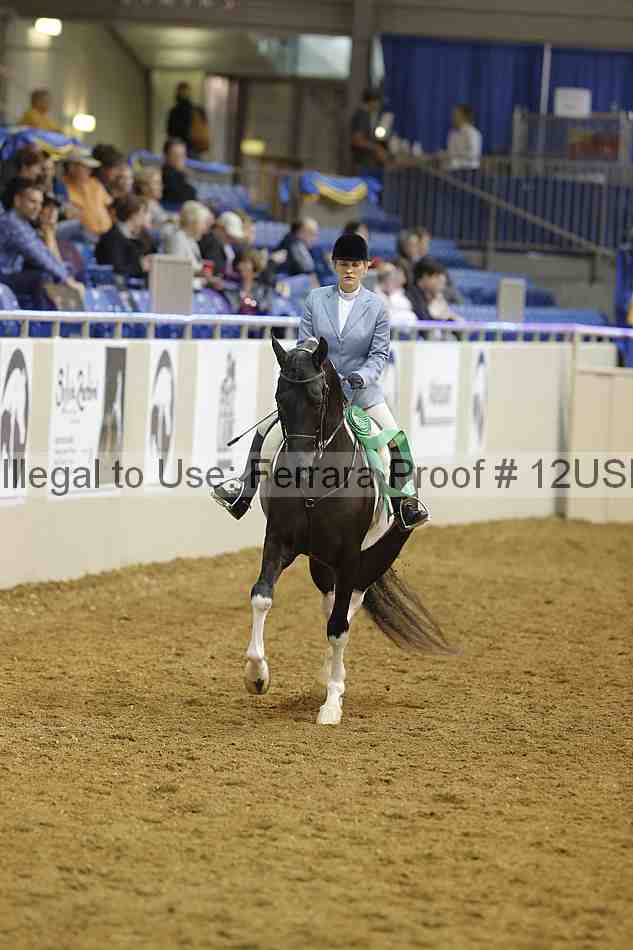 Proof 12usn_14222
