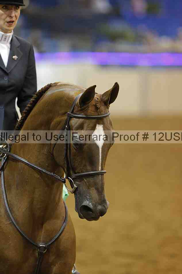 Proof 12usn_14229