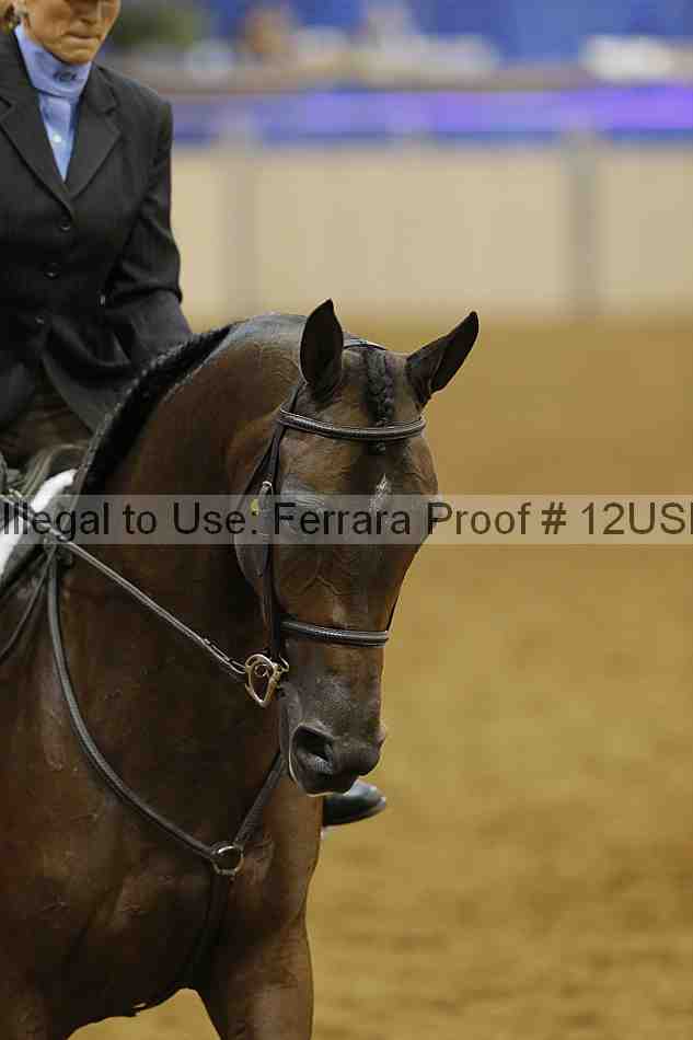 Proof 12usn_14231