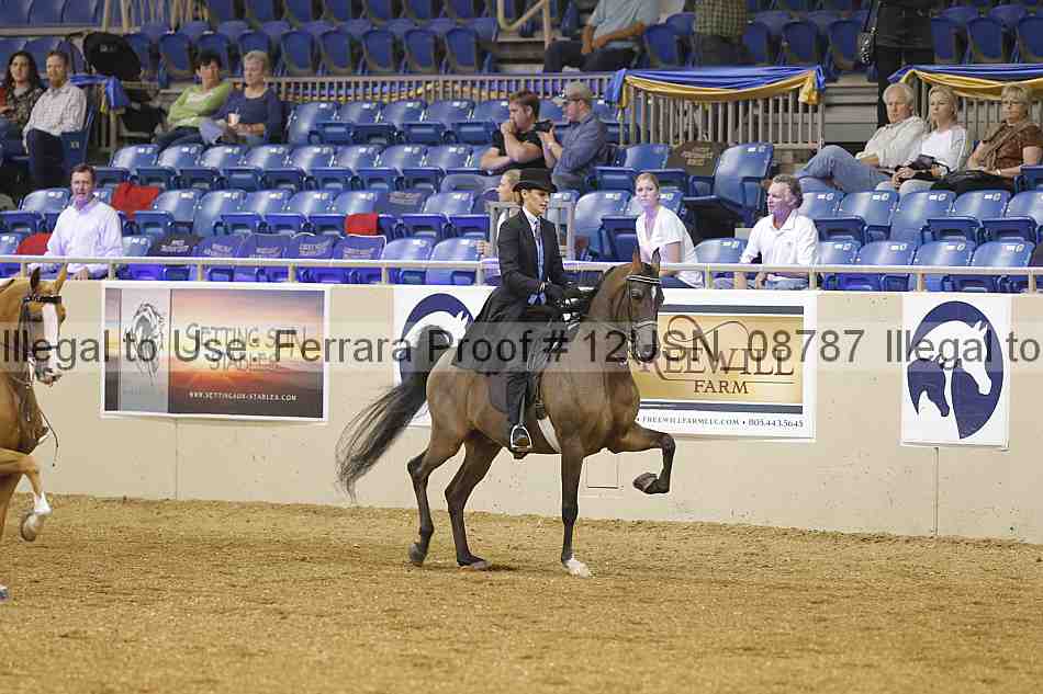 Proof 12usn_08787
