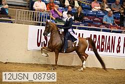 12usn_08798 proof