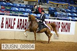 12usn_08804 proof