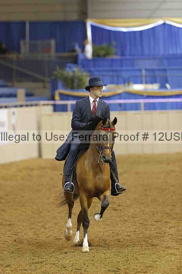 Proof 12usn_08834