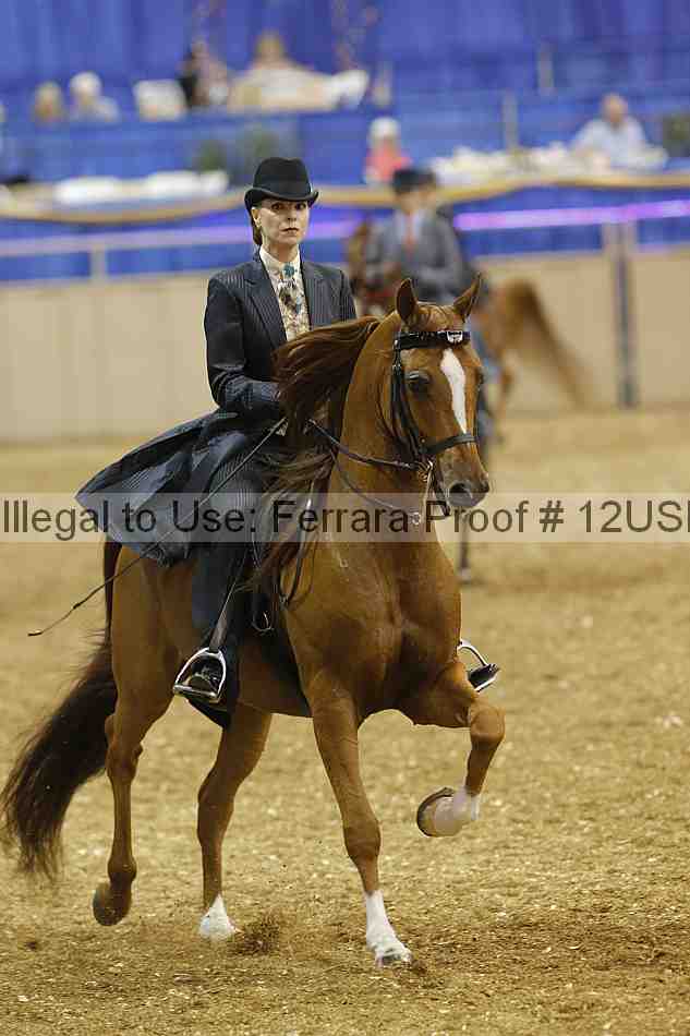Proof 12usn_17036