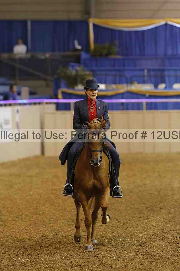 Proof 12usn_02000