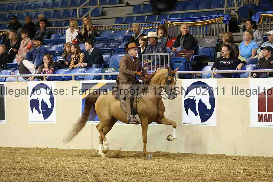 Proof 12usn_02011
