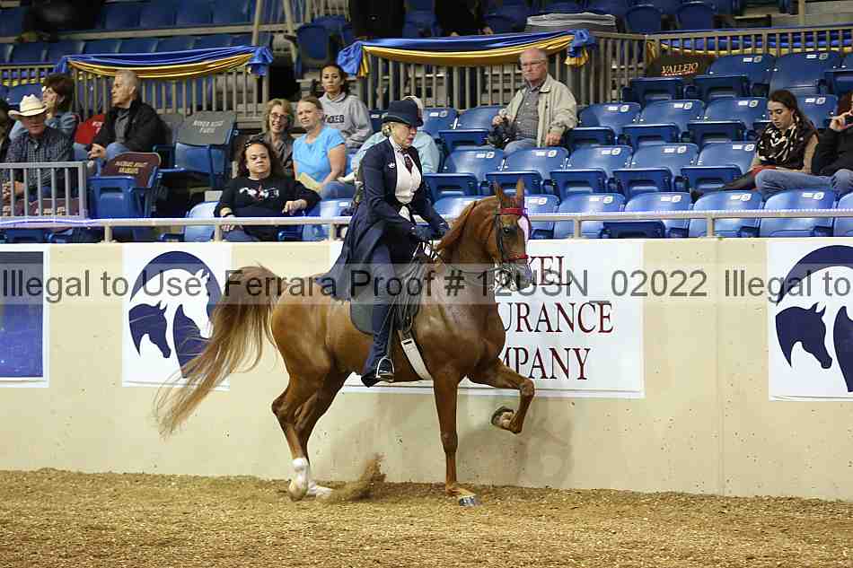 Proof 12usn_02022