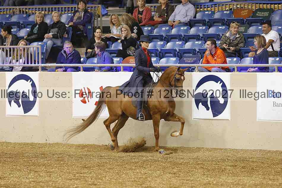 Proof 12usn_02027