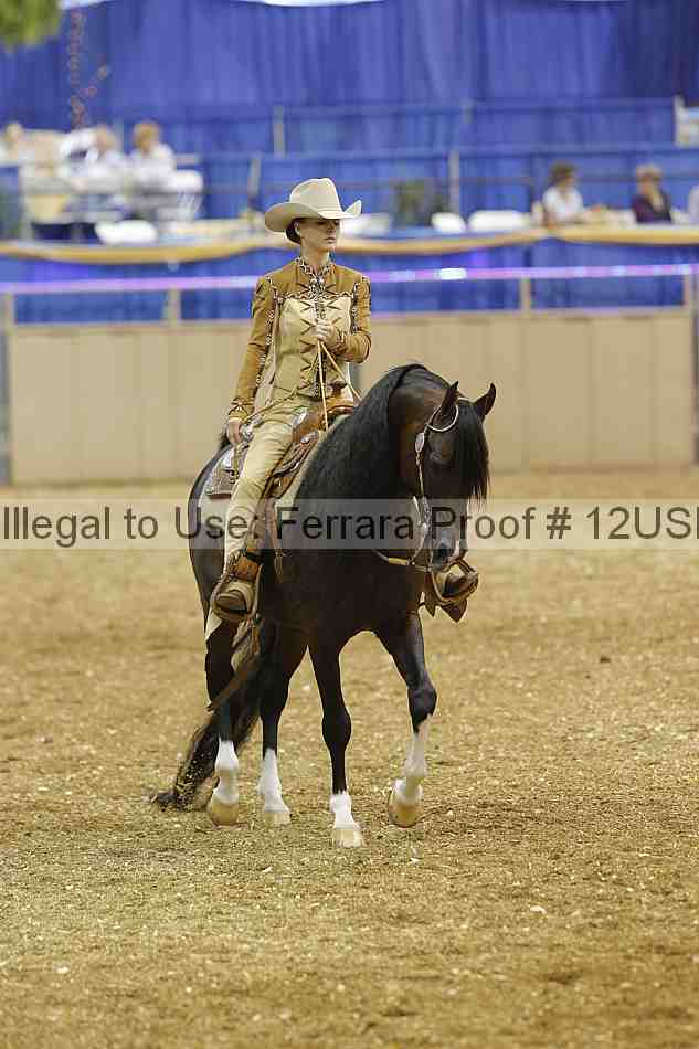 Proof 12usn_17205