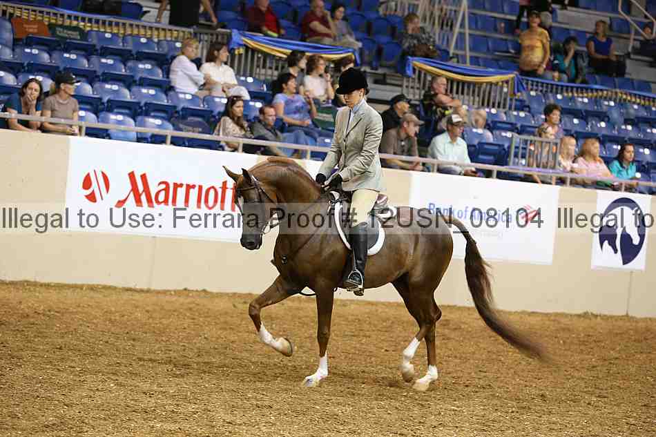 Proof 12usn_08104