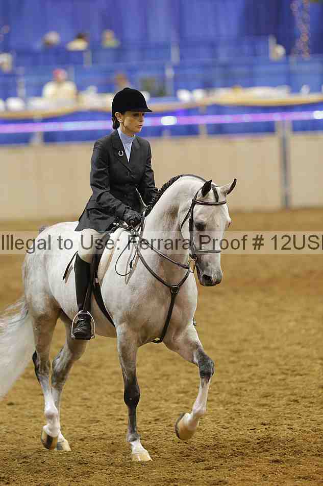 Proof 12usn_10463