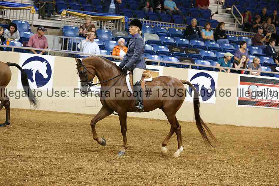 Proof 12usn_09166