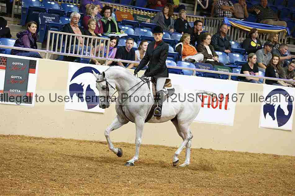 Proof 12usn_09167