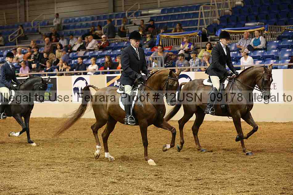 Proof 12usn_09178