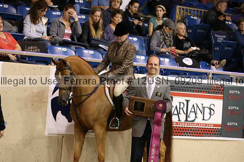 Proof 12usn_09209