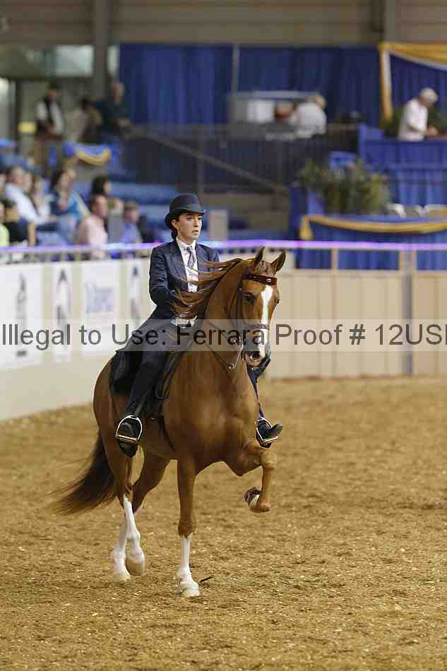Proof 12usn_17635