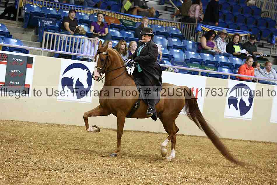 Proof 12usn_17637