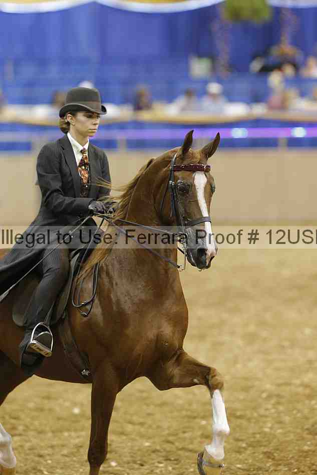 Proof 12usn_17645