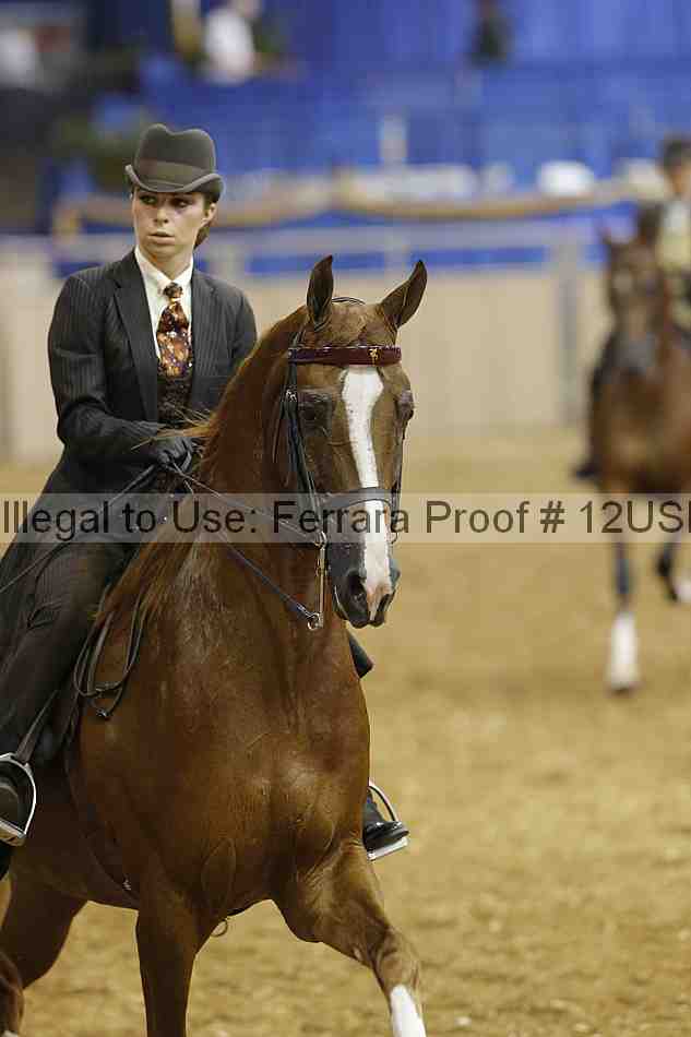 Proof 12usn_17659