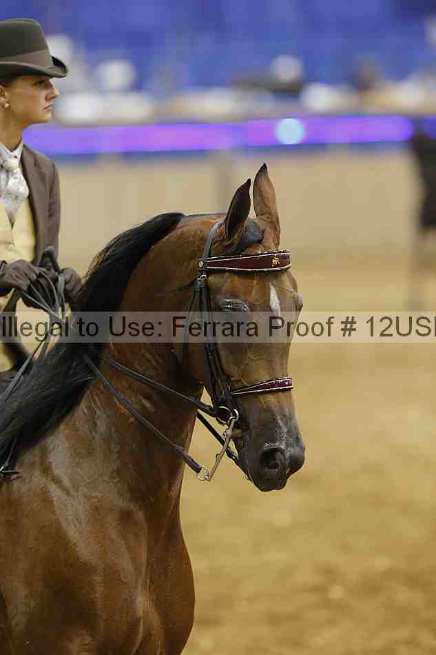 Proof 12usn_17662