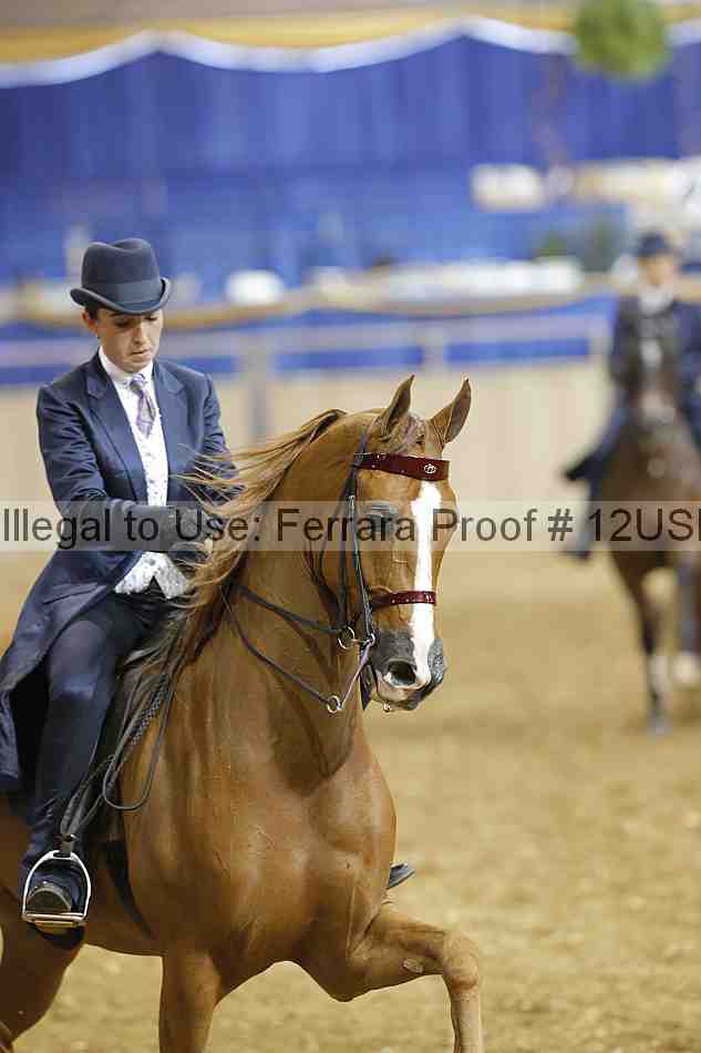 Proof 12usn_17669