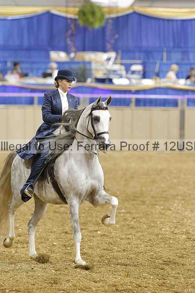 Proof 12usn_17734