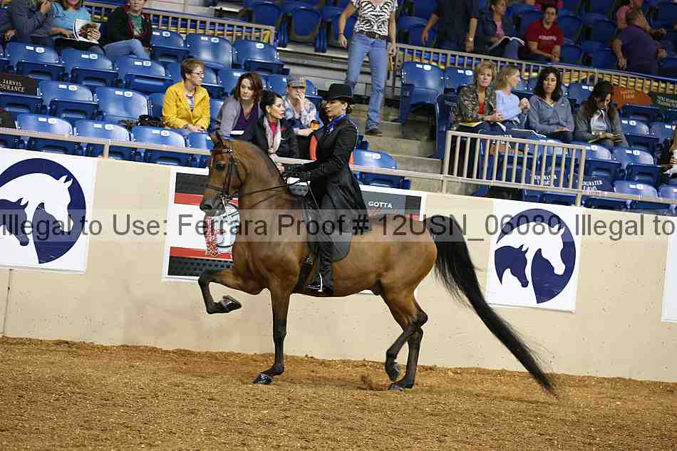 Proof 12usn_06080