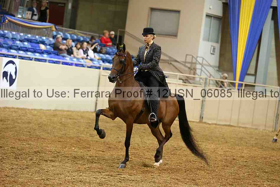 Proof 12usn_06085