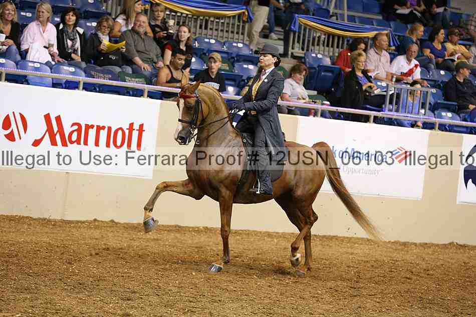 Proof 12usn_06103