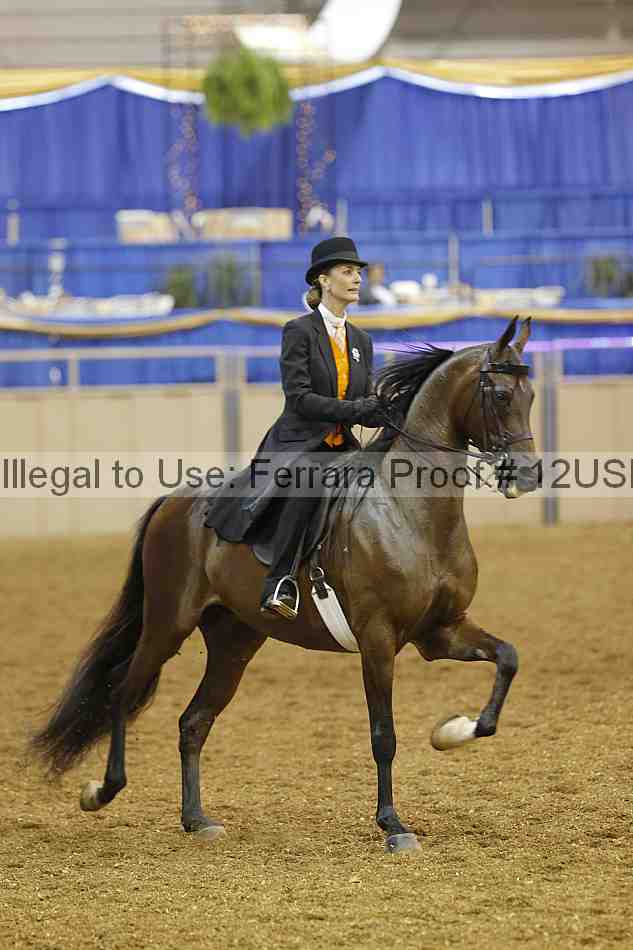 Proof 12usn_06108