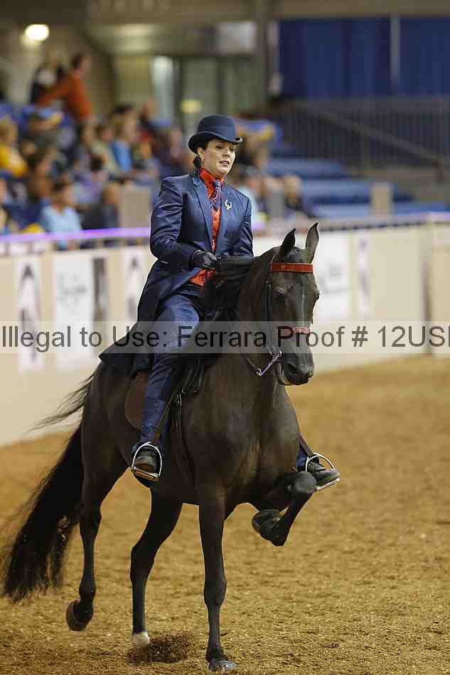 Proof 12usn_06109