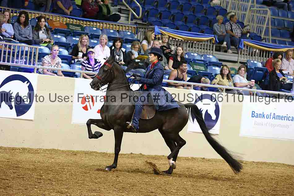 Proof 12usn_06110