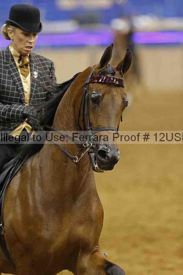 Proof 12usn_06128