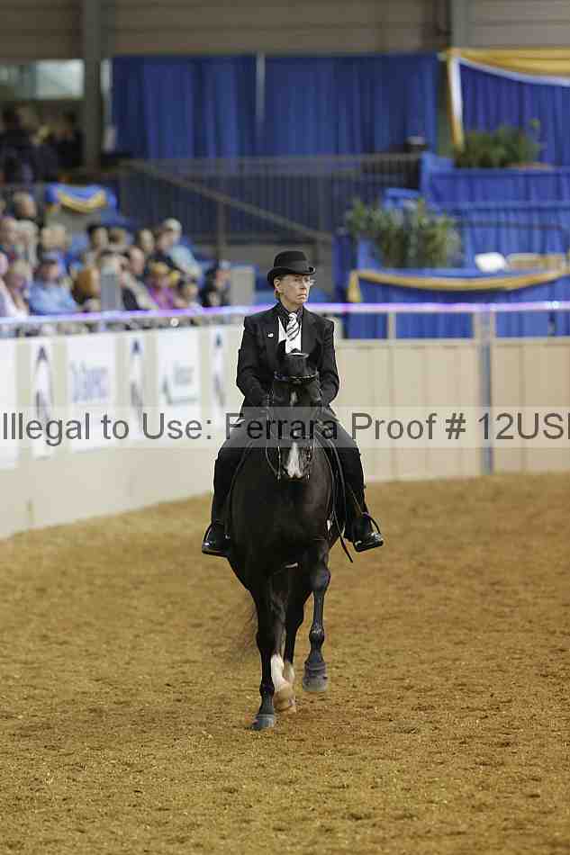 Proof 12usn_07840