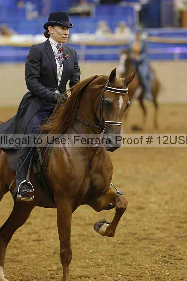 Proof 12usn_07870