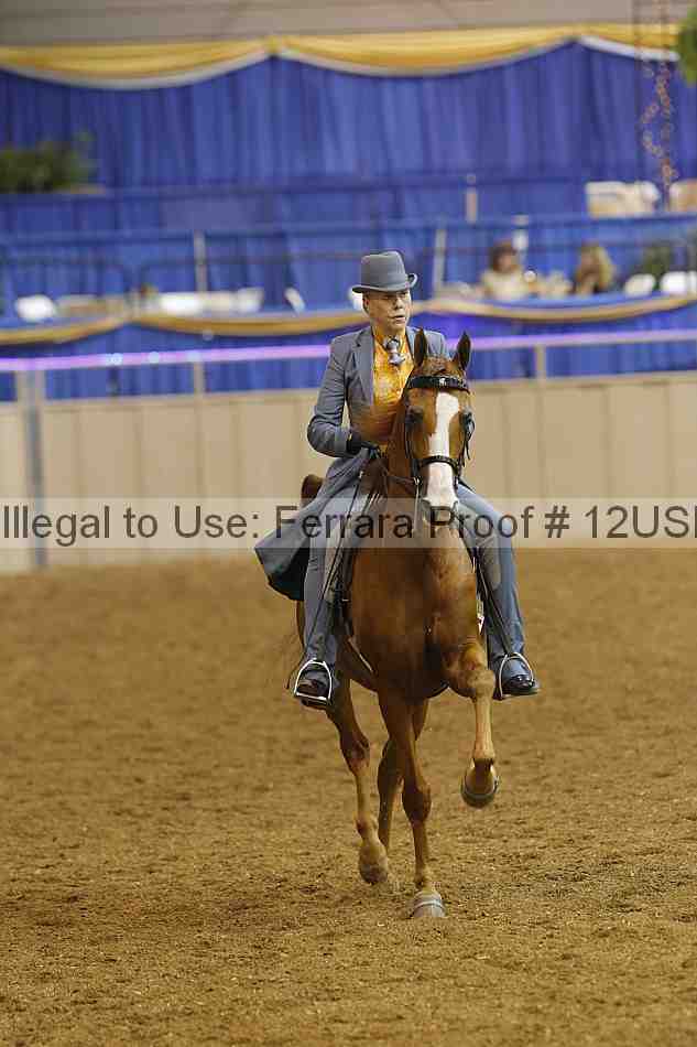 Proof 12usn_07887