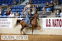12usn_07918 proof