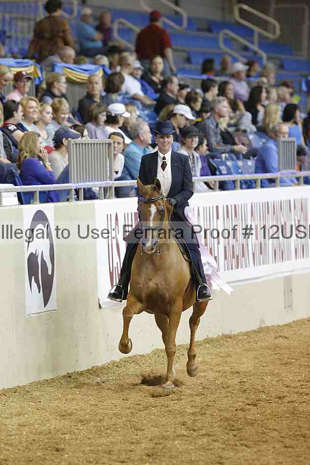 Proof 12usn_07946