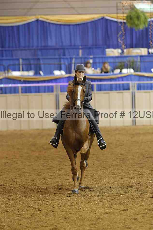 Proof 12usn_07973