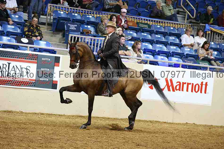 Proof 12usn_07977