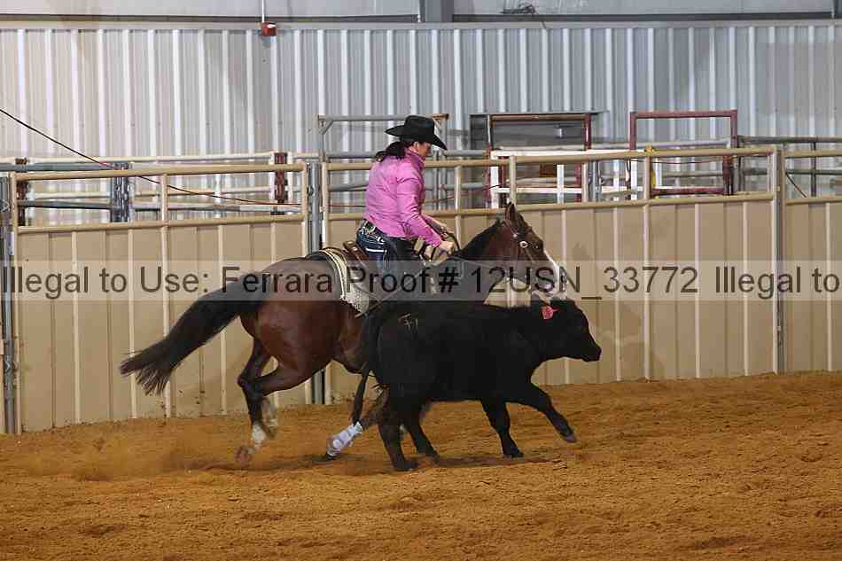 Proof 12usn_33772