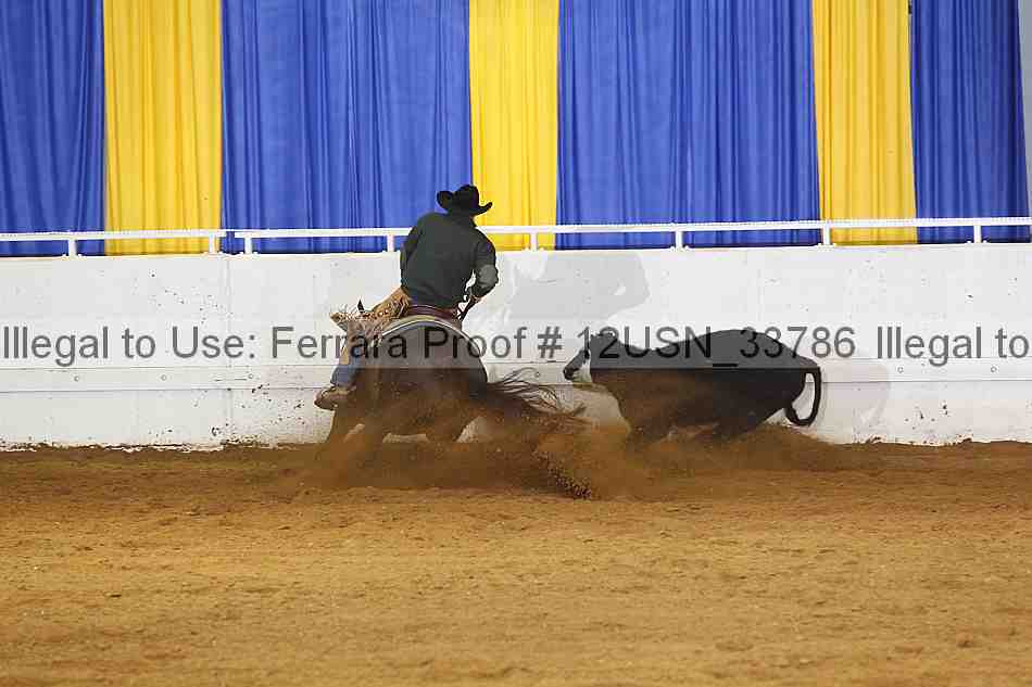 Proof 12usn_33786