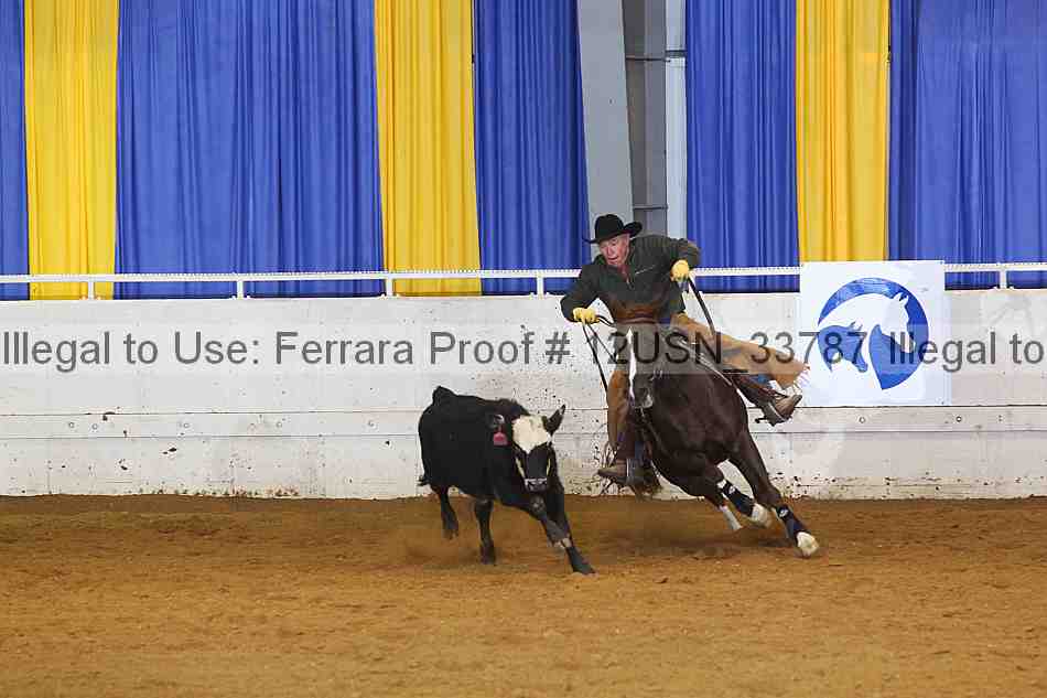 Proof 12usn_33787