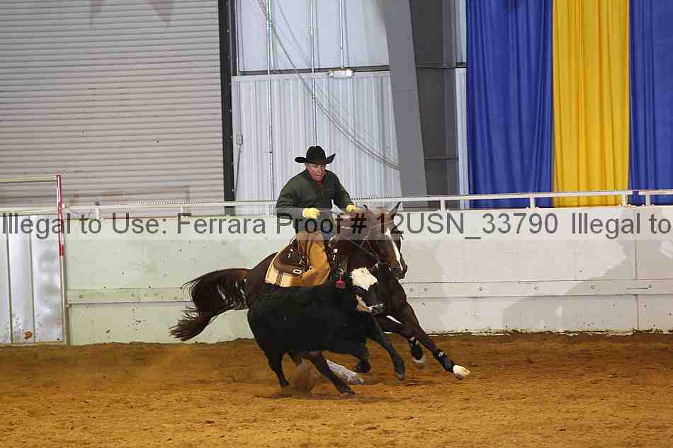 Proof 12usn_33790