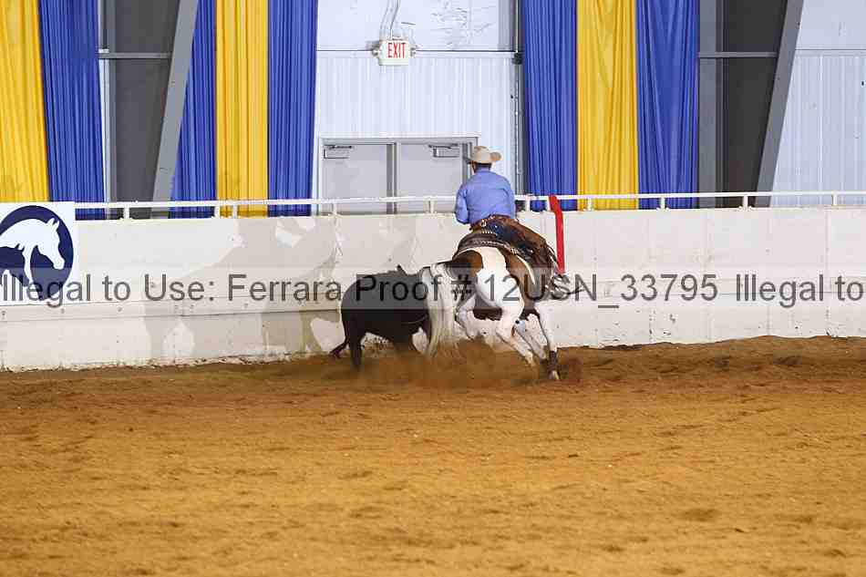 Proof 12usn_33795